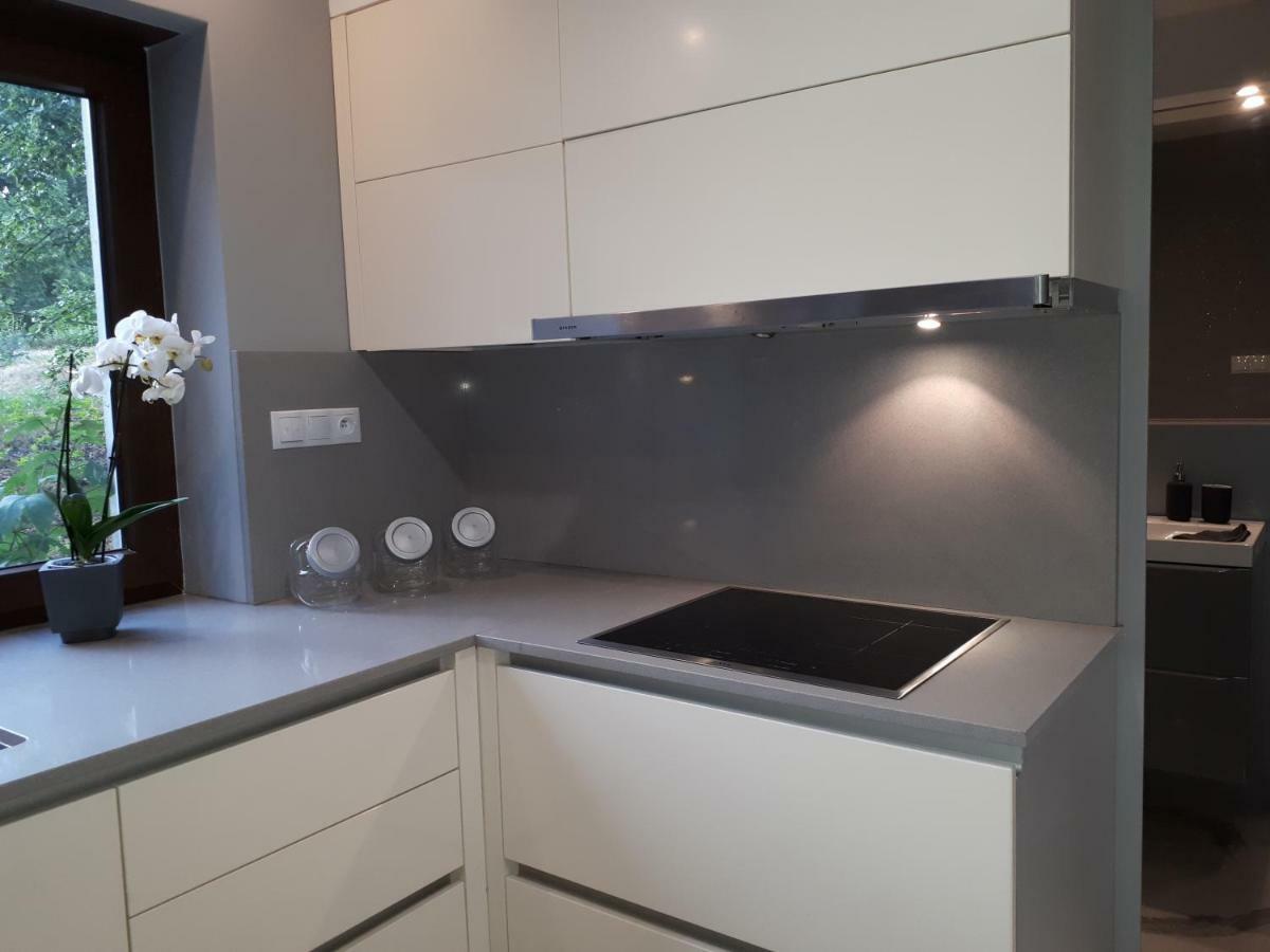 Apartamenty Centrum- Kochanowskiego -Dawniej Two-Bedroom Apartment 锡隆纳葛拉 外观 照片